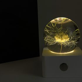 Dandelion Sunflower Specimen 8cm Small Night Light Desktop Decoration (Option: Nigella-USB)