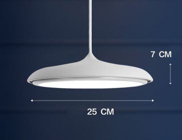 Nordic Modern Simple LED Chandelier Restaurant Chandelier Designer Chandelier (Option: White-25cm)