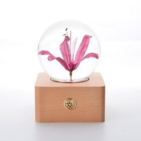 Wooden Base Flower Specimen Night Lamp (Option: Equinox Flower-USB)