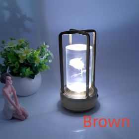 USB Charging Retro Camping Light Luxury And Minimalist Decorative Lights (Option: Brown-Tricolor dimming-USB)